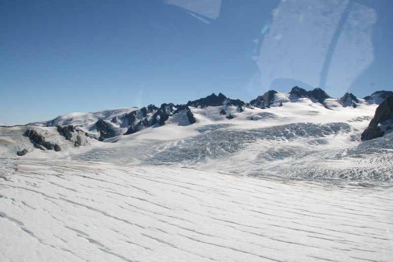 Nieuw-Zeeland 2011 - 1523